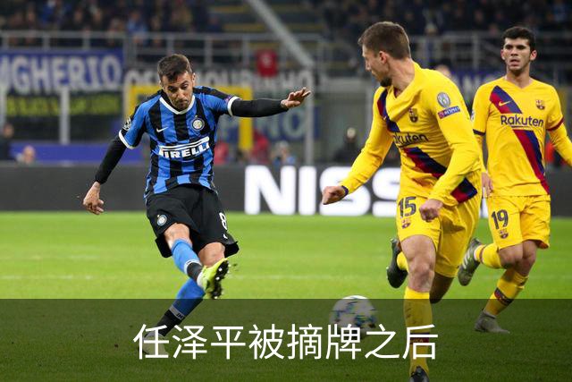 任泽平被摘牌之后