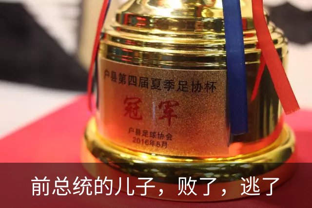 前总统的儿子，败了，逃了