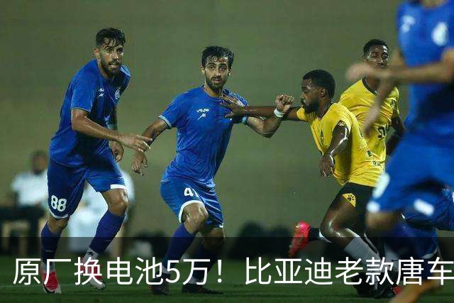 原厂换电池5万！比亚迪老款唐车主花2万多手搓大电池：续航翻倍
