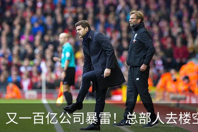 又一百亿公司暴雷！总部人去楼空，创始人失联被立案，谁来承担？