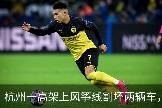 杭州一高架上风筝线割坏两辆车，车主称找不到肇事者只能自行出险赔偿