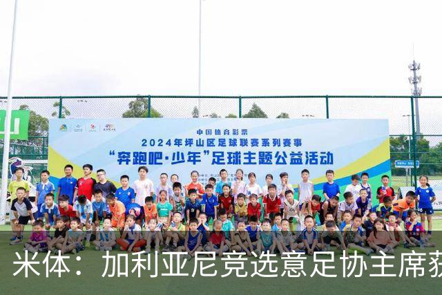 米体：加利亚尼竞选意足协主席获两大协会力挺