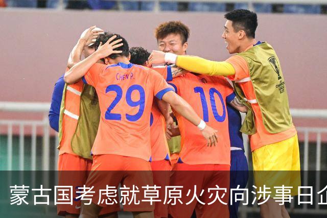 蒙古国考虑就草原火灾向涉事日企索赔