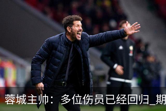 蓉城主帅：多位伤员已经回归 期待主场把这个冠军拿下